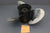 MerCruiser 48-832832A45 48-1918P21 Propeller Prop 14.25"x21P 21 Pitch Alpha One