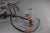 MerCruiser 305 5.0L V8 898 198hp 200hp Wiring Harness 84-98423A1 84-98423A7 2BBL