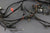 OMC Stringer V8 Ford 302 175hp 190hp 980936 Wire Harness Solenoids 980938 979774