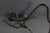 OMC Stringer V8 Ford 302 175hp 190hp 980936 Wire Harness Solenoids 980938 979774