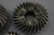 MerCruiser 43-17064A3 Lower Unit Gear Set Gearcase Alpha One Gen II 1991-95