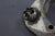 Volvo Penta 851265 852705 AQ 280DP 270 275 290 Clamping Ring Sterndrive Upper