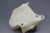 MerCruiser 91987A1 4cyl 470 3.7L 170hp Coolant Fill Bottle Tank Reservoir 80-89