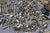 Johnson Evinrude 1979 V4 85hp 0307267 Motor Screw Bolt Set Assorted Parts Kit