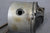 Johnson Evinrude 0388671 322969 Piston Connecting Rod V4 V6 1977-1979 85hp-200hp