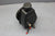 MerCruiser 4.3L 5.0L 5.7L 7.4 Power Steering Pump Assembly V6 V8 16792A1 73873A1