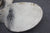 Johnson Evinrude Propeller 10-1/2 X 12 PJ-32 Prop 380637 012024 Michigan Wheel - NLA Marine