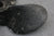Michigan Wheel 012010 PJ-15 48-96622M 9.25x12P Propeller Outboard Honda 10hp - NLA Marine