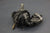 MerCruiser 42725A3 4cyl 470 3.7L 170hp 165HP Engine Fuel Pump 1983-1989 861676A1
