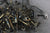 OMC Cobra 4cyl 2.3L Bolt Set Bolts Nut Screw Stud Exhaust Manifold Water Pump