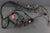 OMC 982025 0982025 Stringer Engine Wiring Harness Wire GM 4cyl 120hp 140hp 79-81