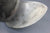 Johnson Evinrude 391290 Prop Propeller 15"x17P OMC Stainless Steel 013044