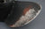 OMC 391198 Johnson Evinrude 13.75x15P 13 3/4" Pitch Prop Propeller Cobra 400 V4