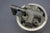 OMC Cobra 0389455 V6 / V8 Lower Unit Gearcase Bearing Housing Shift Parts 86-93