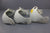 Volvo Penta 851267 Sterndrive Steering Yoke Helmet AQ280 AQ275 (Late Design)