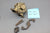 Volvo Penta 855578 Engine Sea Water Cooling Pump AQ131A-D AQ151A-C B230 4cyl