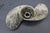 Clinton 5hp J500-1101B Outboard Propeller Prop Nut 2-Blade 1970-1971