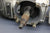 Eska SeaCruiser 7hp 1931-A Engine Crankcase Piston Crankshaft Parts Tecumseh