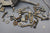 Eska SeaCruiser 7hp 1931-A Outboard Flywheel Ignition Coil Recoil Starter Parts