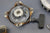 Eska SeaCruiser 7hp 1931-A Outboard Flywheel Ignition Coil Recoil Starter Parts