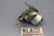 Sears Roebuck 3hp 217-5854-4 Outboard Carburetor Assembly 1969-1970 For Parts