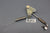 MerCruiser 63713 3.0L 140hp 165hp Carburetor Carb Throttle Linkage Spring Lever