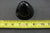 OMC Stringer 0379798 379798 1966-1977 Propeller Prop Nut Nose Cone Plastic