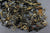 MerCruiser 305 5.0L V8 223 5.7 350 10-53728 Engine Assorted Bolt Screw Set 898