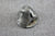 Johnson Evinrude 15hp 376501 0376501 Propeller Prop Nut Cone FD-10 1956 Outboard