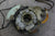 Evinrude Johnson 35hp Ignition Coil Points Plate 580210 1958 59 Outboard Lark - NLA Marine