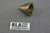 Mercury Kiekhaefer Outboard Super 10 KG7 KF7 11-24493 Propeller Nut Cone Prop