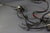 OMC Stringer V8 Ford 302 175hp 190hp 980936 Wire Harness Solenoids 980938 979774