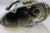 Johnson Evinrude Outboard 40hp RK24 62 Exhaust Housing Driveshaft Housing 305115