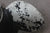 MerCruiser 48-36014-19 Propeller Prop 15"x19P Alpha One 730P 3-Blade SMC-510