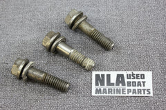 OMC 0308843 0307708 Stringer Tilt Quadrant Gear Bolts Screw Set 1968-1985 308843