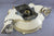 OMC Stringer 800 Flywheel Housing 909325 981552 2.5 3.0 3.8L 4.3L 5.0L 5.7 V6/8