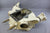 OMC Stringer 800 Flywheel Housing 909325 981552 2.5 3.0 3.8L 4.3L 5.0L 5.7 V6/8