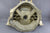 OMC Stringer 800 Flywheel Housing 909325 981552 2.5 3.0 3.8L 4.3L 5.0L 5.7 V6/8