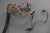Mercury 84-96219A8 84-96219A7 Wire Wiring Harness  35hp Outboard Mariner 1984-89