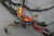 MerCruiser 84-63796A1 165hp 4.1L 6cyl GM Engine  Wire Wiring Harness GM 59816