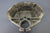 OMC 309833 0309833 Upper Gearcase Top Cover Evinrude Playmate Early 480 Stringer