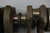 Mercury 462-8839A2 Outboard Crankshaft Assembly 50hp 60hp 3cyl 1984-1990 Mariner